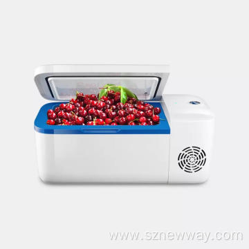 indelB electric car refrigerator 12L cooler boxes H12